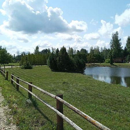 Viesu Nams Krauklisi Villa Tinuzi Exterior foto